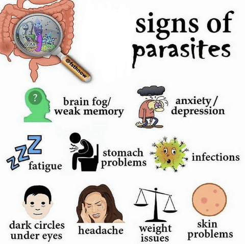 9-signs-of-parasites-1_480x480