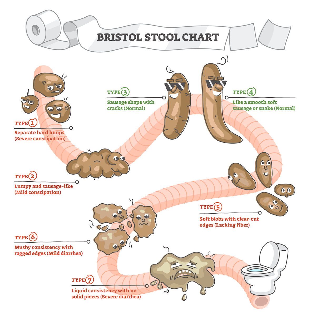 Bristol stool chart with excrement description and types outline concept. Healthy condition, severe constipation or mild diarrhea feces as educational comparison and labeled scheme vector illustration